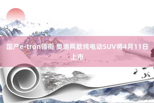 国产e-tron领衔 奥迪两款纯电动SUV将4月11日上市