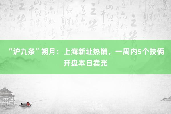 “沪九条”朔月：上海新址热销，一周内5个技俩开盘本日卖光