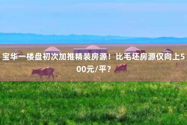 宝华一楼盘初次加推精装房源！比毛坯房源仅向上500元/平？