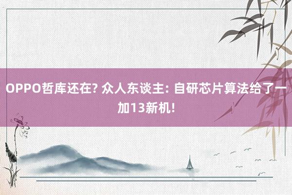 OPPO哲库还在? 众人东谈主: 自研芯片算法给了一加13新机!