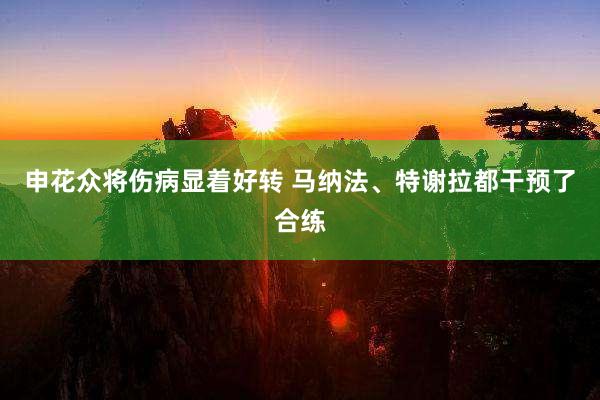 申花众将伤病显着好转 马纳法、特谢拉都干预了合练