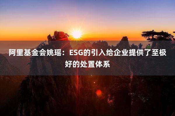 阿里基金会姚瑶：ESG的引入给企业提供了至极好的处置体系