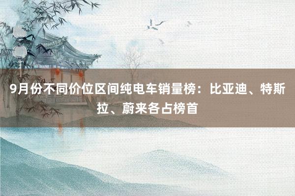 9月份不同价位区间纯电车销量榜：比亚迪、特斯拉、蔚来各占榜首