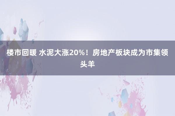 楼市回暖 水泥大涨20%！房地产板块成为市集领头羊